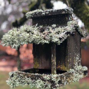 Meet your Posher, Kristin